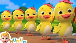 5 Little Ducks (Learn Counting Song) + More  Nursery Rhymes & Kids Songs | NuNu Tv