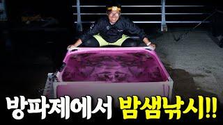 방파제에서 밤새도록 낚시를 하면 몇마리가 잡힐까?? [박과장TV]