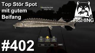 Top Stör Spot mit gutem Beifang Achtuba | Russian Fishing 4 #402 | RF4 | Deutsch | UwF