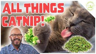 Catnip Considered: Is it Right for Your Cat?