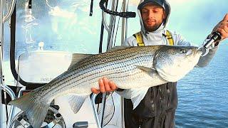 Big Striped Bass (Backwoods Fishing Guide)