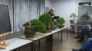 Unlocking Breathtaking Knowledge: Caz Scott's South Yorkshore Bonsai Society Talk