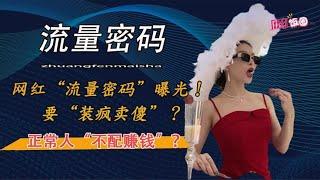 网红年入百万秘籍曝光！装疯卖傻成主流？正常人不配赚钱？