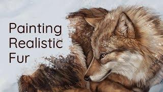 Painting Realistic Fur • Krita Speedpaint