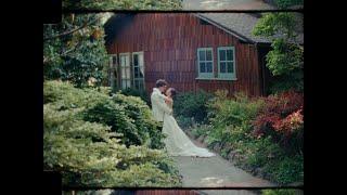 Capturing a San Francisco Wedding on 16mm film.