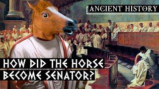 How Caligula's horse Incitatus became a Roman senator