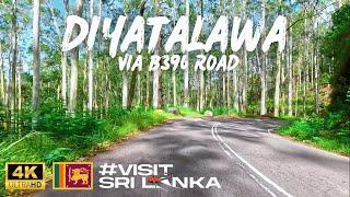 Driving Around Diyatalawa via Beautiful B396 Road