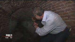 Inside the mysterious tunnels of Ybor City