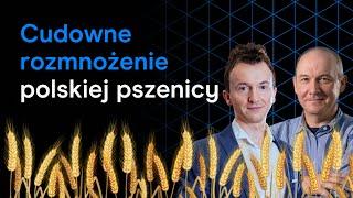 2 ciekawe spółki giełdowe. Jak wygląda eksport płodów rolnych w PL - mocny tytoń? | "W Sedno Rynku"