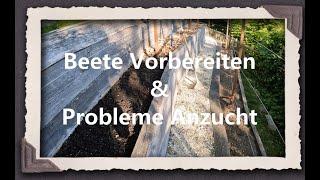 Beete Vorbereiten & Probleme Anzucht