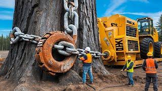 Extreme Dangerous Fastest Big Chainsaw Cutting Tree Machines | Monster Stump Removal Excavator #79