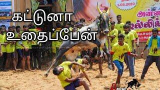 SSR POO MANDI KALAI//ANNAMANGALAM JALLIKATTU 2020