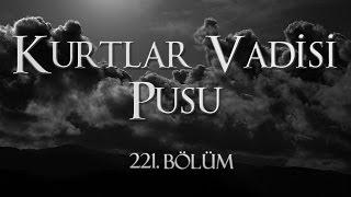 Kurtlar Vadisi Pusu 221. Bölüm