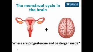 Epilepsy, sex hormones and the female brain