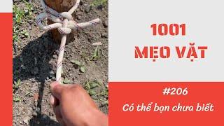 1001 Mẹo Vặt - Mẹo Hay Trong Cuộc Sống (P206) #Shorts #1001meovat