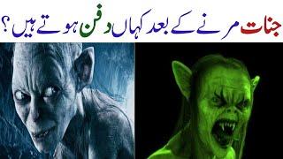 Amazing vedio about janat | Delchab vedio | Janat Histroy | wasaib info tv