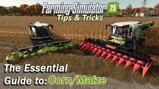 The Essential Guide to Corn or Maize in Farming Simulator 25