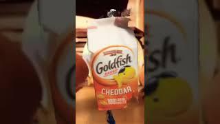 Goldfish