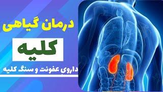 سنگ کلیه / درمان عفونت کلیه / پاکسازی کلیه ها / درمان کلیه درد / سم زدایی کلیه