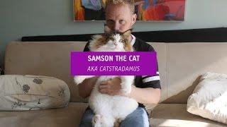 Meet The Largest Cat In NYC (And His Human, Too)