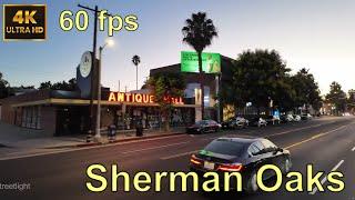 Sherman Oaks, Los Angeles, California -  Relaxing Drive ASMR 4K 60fps