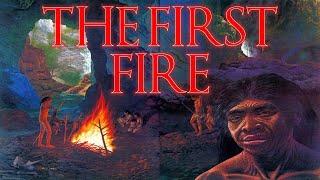 Which Human Species First Discovered Fire