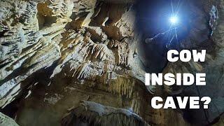 Rappelling into Incredible Formations - Hourglass Cave