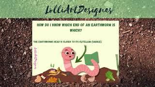 My First Earthworm Book 30 pages printable Worms for Toddlers Education pages #shorts