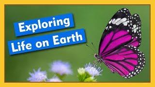 Exploring Life on Earth | Compilation