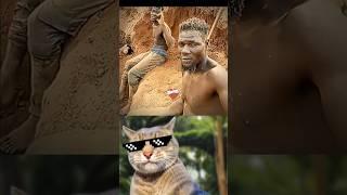 do not use this sound 5 #cat #bombastic #meme