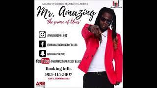 Mr  Amazing  - Back It Up