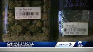 Recall ordered for cannabis products sold in New Mexico