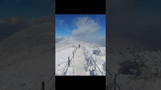 20분 만에  볼수있는 환상적인 겨울왕국은?가성비 최고 설경/ fantastic winter wonderland you can see in just 20 minutes