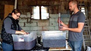 Making Red Wine from Grapes - Part 1