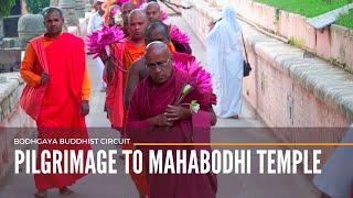 Pilgrimage to Mahabodhi Temple  | Bodh Gaya | Buddhist Pilgrimage Places in India | EXCLUSIVE