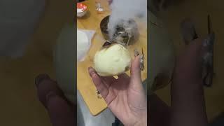 厨房里的炼丹大师，太上老君  快收了你这神通