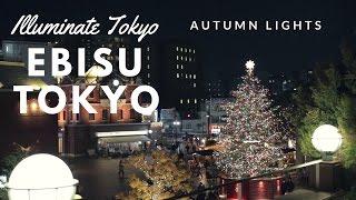 Illuminate Tokyo: The Autumn lights in Ebisu, Tokyo