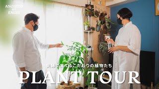 【PLANT TOUR】夫婦で育てるこだわりの植物たち｜プラントツアー｜塊根植物｜多肉植物｜観葉植物｜ボタニカルライフ｜ルームツアー