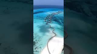 Maldives️#youtube#youtuber#youtubechannel#revoluionreal#discoverunder5k#discoverunder10k