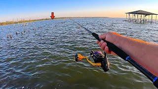 Fishing a LIVE! Shrimp alongside my Broken Backyard Pier and Caught THIS!