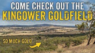 The Insanely Rich KINGOWER GOLDFIELD