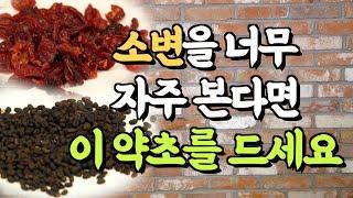 시도때도 없이 소변을 본다면? 이 약초를 끓여 드셔보세요