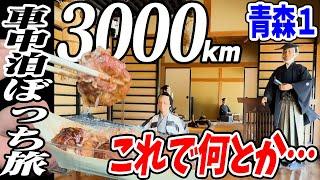 【3000km車中泊ぼっち旅】旅行はこーでなくちゃ北東北3県（岩手・秋田・青森）道の駅全部巡る旅！9日目青森1