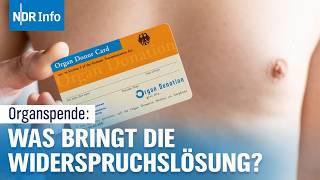 Organspende: Wer bestimmt über meine Organe nach dem Tod? | #NDRfragt