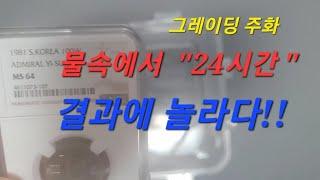 그레이딩 등급주 동전은 물속에서 안전할까? 희귀주화 이야기