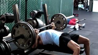 WBFF Pro - Rob Riches. Video Blog. Video #14: Chest & Triceps @ Gold's Gym, Venice. Part 1 of 2