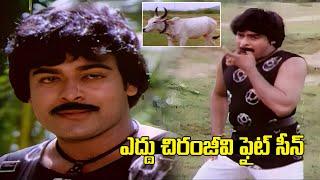 Chiranjeevi MASS Fight Scene | Telugu Movie Action Scenes | Telugu Latest Movies | Surya Movies