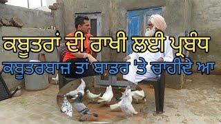 ਚੋਰੀ ਤੋਂ ਕਬੂਤਰ ਬਚਾਉਣ ਲਈ ਪ੍ਰਬੰਧ |Harbhej Sidhu| Kabutarbaz| Dr.Pal Singh| Piegien club |Bird Lover|