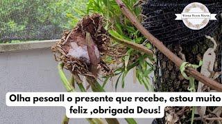 Dicas Dona Maria -Olha pessoal o presente que recebe, estou muito feliz ,obrigada Deus!