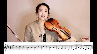 캐논(파헬벨) 바이올린 배우기 Canon in D(Pachelbel) Violin Tutorial 취미 초보 바이올린[써니의 고급레슨]